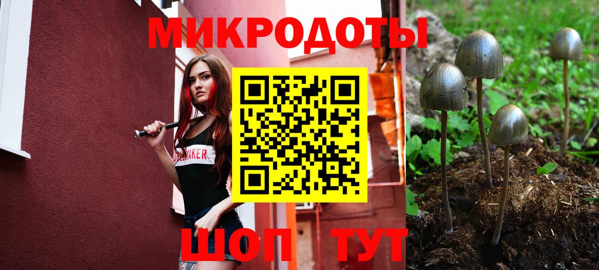 Галлюциногенные грибы прущие грибы Лобня