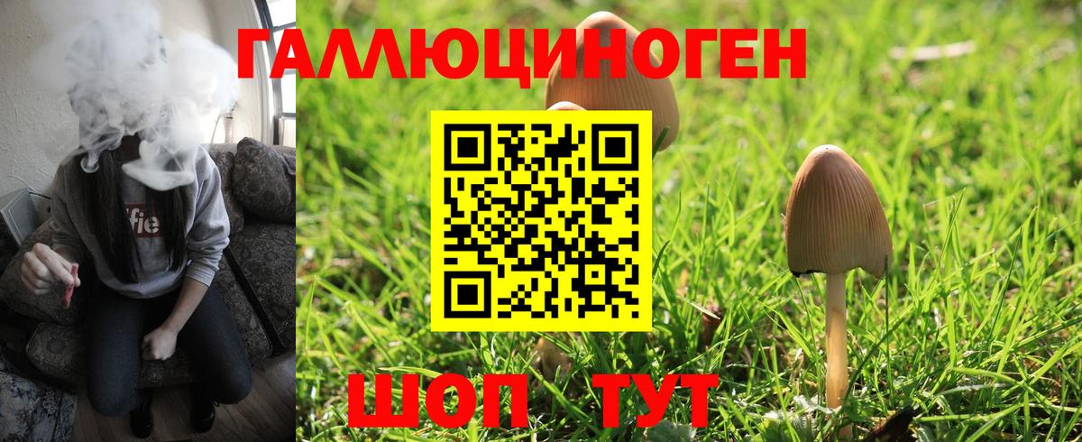 купить  сайты  Галлюциногенные грибы Magic Shrooms  Вход с VPN  Лобня 